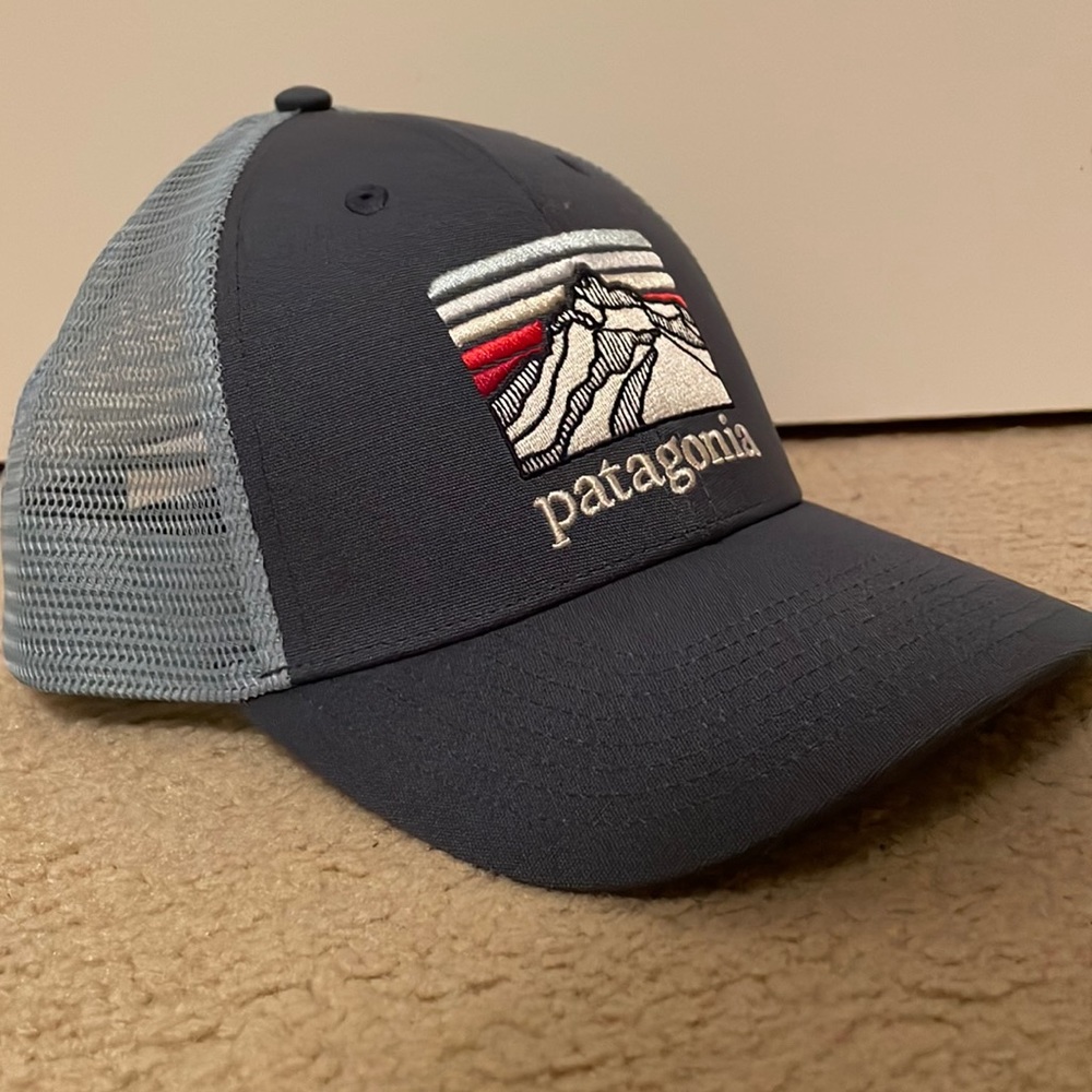 Patagonia Trucker hat